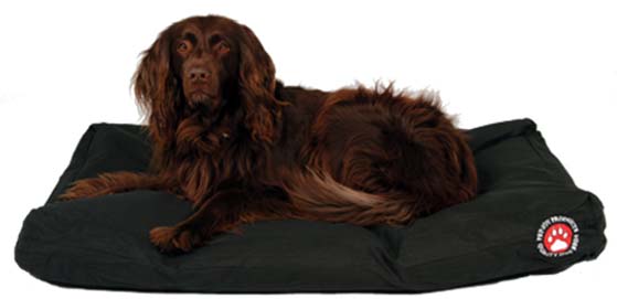 doggybaggsiesta